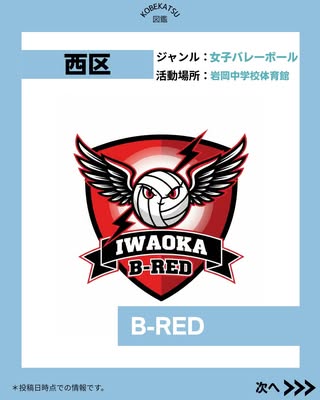 B-RED（西区・女子バレーボール）の紹介画像