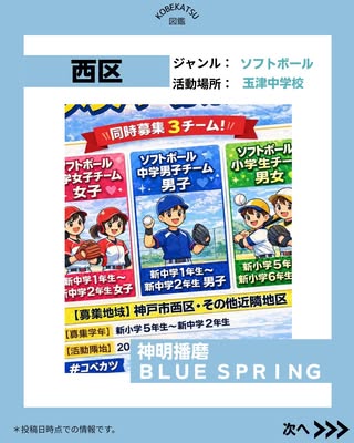 神明播磨ＢＬＵＥ ＳＰＲＩＮＧ（西区・男女ソフトボール）の紹介画像