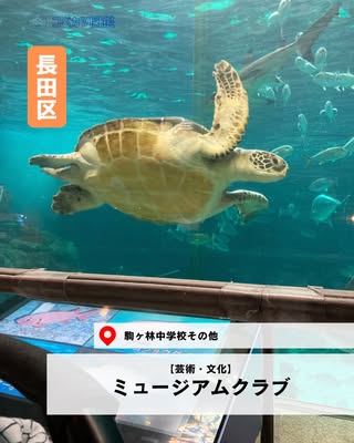 ミュージアムクラブ（長田区・芸術・文化）の紹介画像